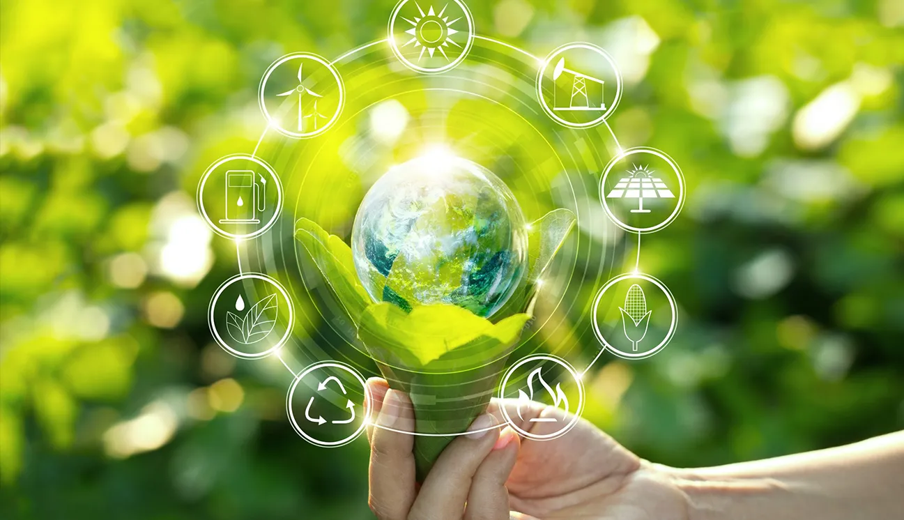 Sustainability